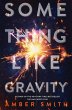Something Like Gravity (eBook, ePUB) - Bild 1