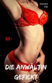 Die Anwältin gefickt (eBook, ePUB) Die Anwältin gefickt (eBook, ePUB)