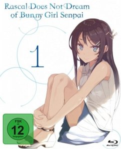 Rascal does not dream of Bunny Girl Senpai - Vol. 1