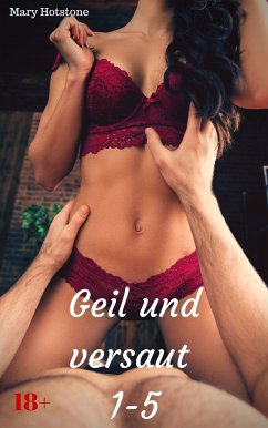 Geil und versaut 1-5 (eBook, ePUB) - Hotstone, Mary