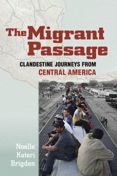 The Migrant Passage (eBook, PDF)