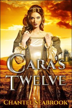 Cara's Twelve (eBook, ePUB) - Seabrook, Chantel
