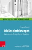 Schlüsselerfahrungen: Supervision im therapeutischen Strafvollzug (eBook, PDF)