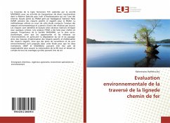 Evaluation environnementale de la traversé de la lignede chemin de fer - Harifetra Eric, Raherinaivo