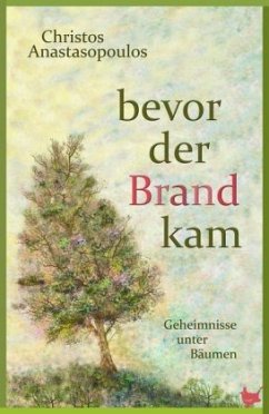 Bevor der Brand kam - Anastasopoulos, Christos