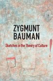 Sketches in the Theory of Culture (eBook, ePUB)