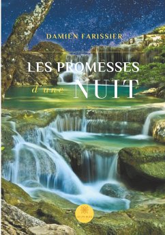 Les promesses d'une nuit - Farissier, Damien