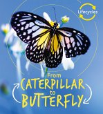 Lifecycles: Caterpillar to Butterfly (eBook, PDF)
