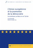 L'Union européenne et la promotion de la démocratie (eBook, ePUB)