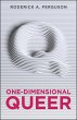 One-Dimensional Queer (eBook, ePUB) - Bild 1