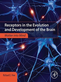Receptors in the Evolution and Development of the Brain (eBook, ePUB) - Fine, Richard E.