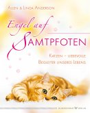 Engel auf Samtpfoten (eBook, ePUB)