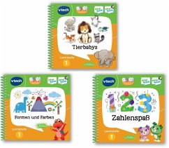 MagiBook - Lernstufe 1 - Bundle, 3 Bände