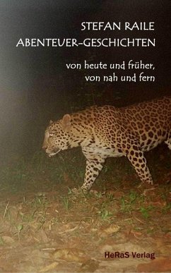 Cover Abenteuer-Geschichten (eBook, ePUB)