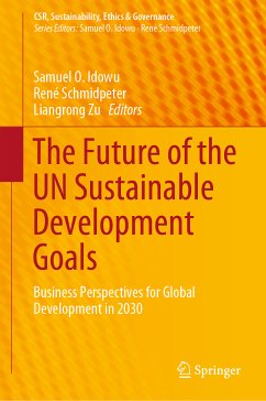 The Future of the UN Sustainable Development Goals (eBook, PDF)