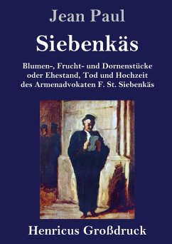 Cover Siebenkäs (Großdruck)