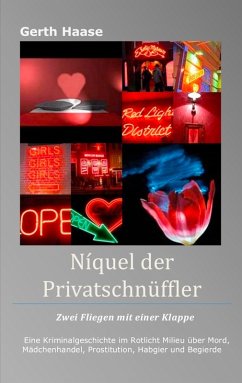 Níquel der Privatschnüffler (eBook, ePUB) - Haase, Gerth