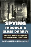 Spying Through a Glass Darkly (eBook, ePUB)