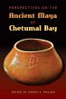 Perspectives on the Ancient Maya of... - Bild 1