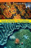 Corals of Florida and the Caribbean (eBook, ePUB) Corals of Florida and the Caribbean (eBook, ePUB)