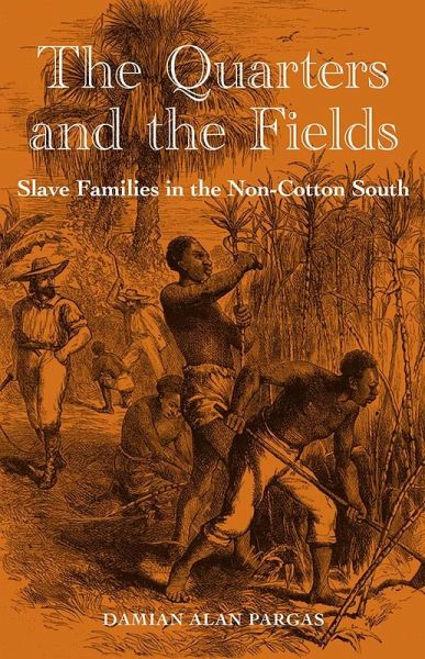 The Quarters and the Fields (eBook, ePUB) The Quarters and the Fields (eBook, ePUB)