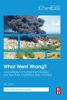 What Went Wrong? (eBook, ePUB) - Bild 1