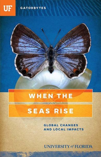 When the Seas Rise (eBook, ePUB)