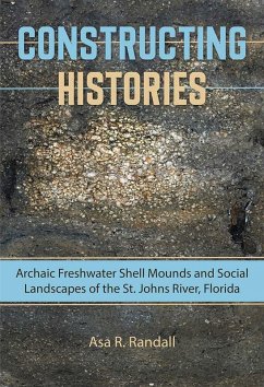 Cover Constructing Histories (eBook, PDF)