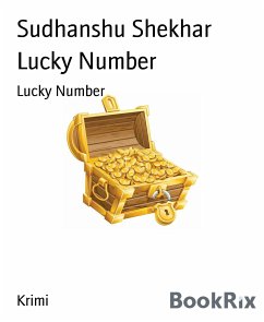 Lucky Number (eBook, ePUB) - Shekhar, Sudhanshu