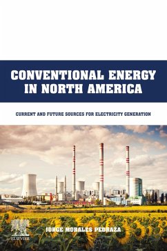 Conventional Energy in North America (eBook, ePUB) - Pedraza, Jorge Morales