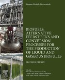 Biomass, Biofuels, Biochemicals (eBook, ePUB)