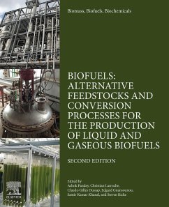 Cover Biomass, Biofuels, Biochemicals (eBook, ePUB)