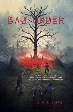 Bad Order (eBook, ePUB) - Ullman, B. B.