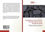 Orpaillage en Côte d'Ivoire: les mécanismes d'une entreprise locale