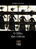 O filho das viúvas (eBook, ePUB)