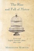 Rise and Fall of Meter (eBook, ePUB)