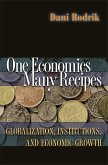 One Economics, Many Recipes (eBook, ePUB)