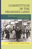 Competition in the Promised Land (eBook, ePUB)