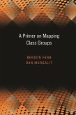 Primer on Mapping Class Groups (PMS-49) (eBook, ePUB)