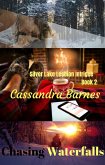 Chasing Waterfalls (Silver Lake Lesbian Intrigue, #2) (eBook, ePUB) Chasing Waterfalls (Silver Lake Lesbian Intrigue, #2) (eBook, ePUB)
