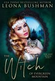 The Witch of Evergreen Mountain (The Lost Witch Series, #2) (eBook, ePUB)