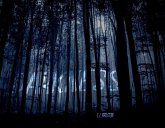 Darkness (eBook, ePUB) Darkness (eBook, ePUB)