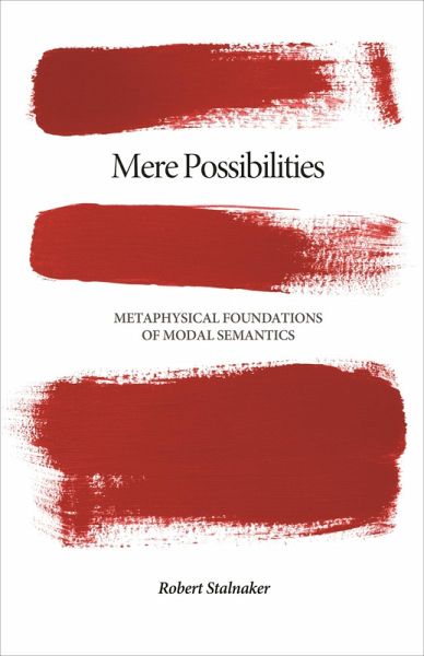 Mere Possibilities (eBook, ePUB)