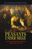 Peasants under Siege (eBook, ePUB)