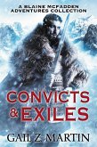 Convicts and Exiles (eBook, ePUB)