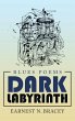 Dark Labyrinth (eBook, ePUB) - Bild 1