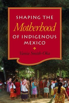 Shaping the Motherhood of Indigenous Mexico (eBook, PDF) - Smith-Oka, Vania