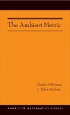 Ambient Metric (AM-178) (eBook, ePUB)
