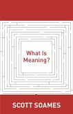 What Is Meaning? (eBook, ePUB)