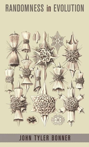 Randomness in Evolution (eBook, ePUB)